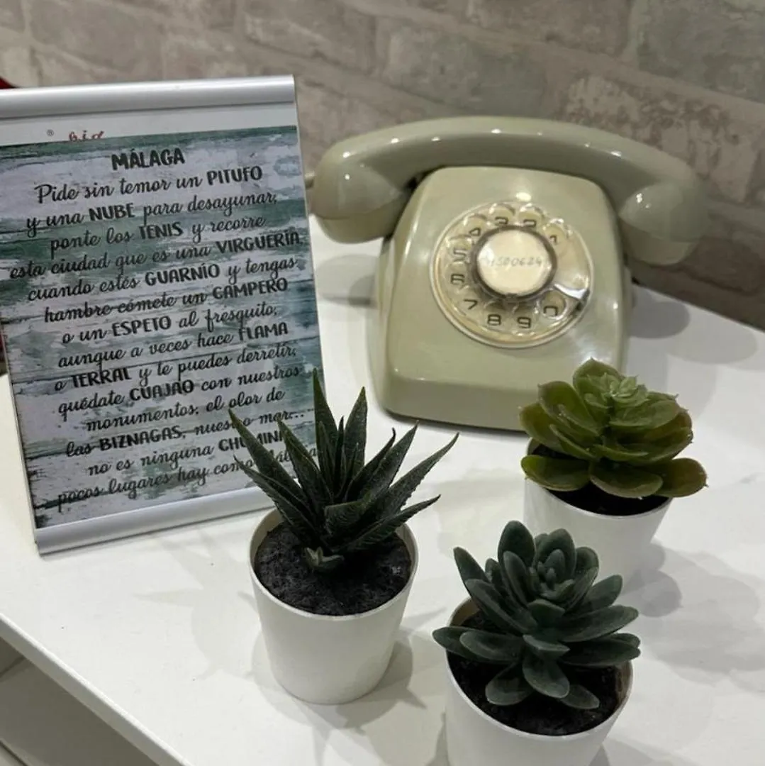 Appartement LOFT céntrico cerca de la playa ! LA BIZNAGA à Málaga